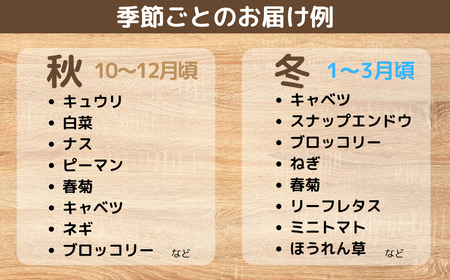 【3ヶ月定期便】新鮮野菜の産直 7～10品目 野菜