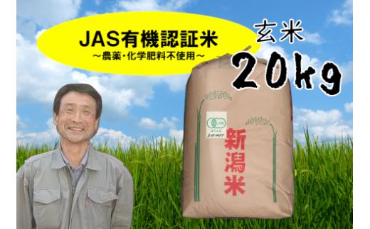 【令和6年産新米予約】JAS有機認証米 コシヒカリ 玄米 20kg 10月上旬より順次発送予定 精米も可 1G09050