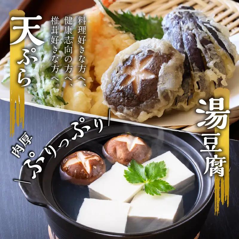 大分産乾しいたけと豊後きのこカレーと豊後きのこめし F07027