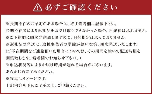 ジューシーオレンジ 約10kg 柑橘類 晩柑 熊本県産 【2026年3月上旬～4月下旬まで発送予定】