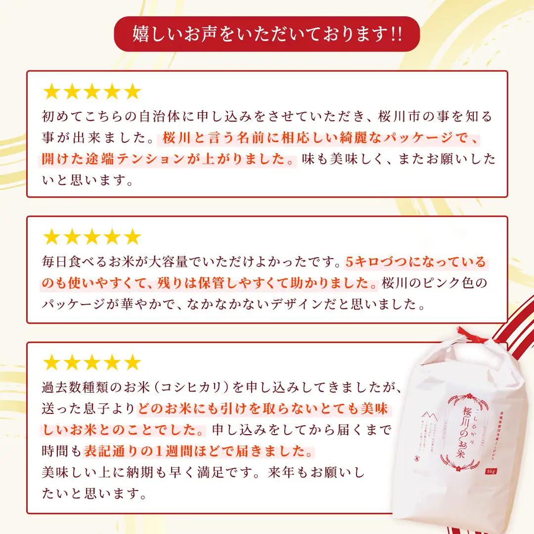 【生産者支援】 《令和7年産 先行予約》茨城県 桜川市産 こしひかり15kg（5kg×3袋） 茨城県産 桜川 米 お米 白米 コメ ごはん 精米 コシヒカリ 国産 限定 銘柄米 [SC011sa]