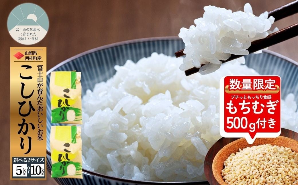 
            コシヒカリ 今だけ数量限定10キロ返礼品希望でもち麦500g付き！ 選べる容量 / 国産 こしひかり  5キロ 10キロ 米 お米 保存袋 生活必需品 ギフト 贈り物 お歳暮 ふるさと納税 送料無料 [注目] 【n0663_gou】
          