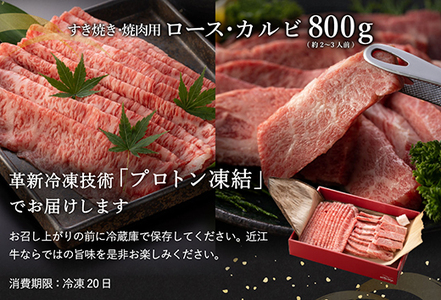 【3月末までに発送】近江牛A5ランク焼肉・すき焼セット【800g】【DG11SM-3m】