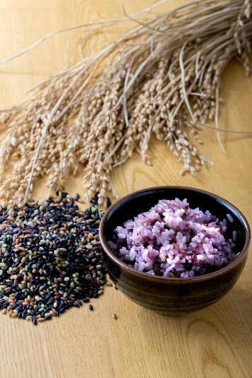 【有機JAS認証】夢の谷ファームの有機古代米 100g×16袋 1U05019