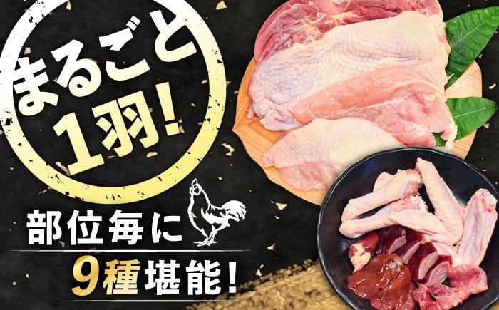 鶏肉 精肉 鳥肉 とり肉 とりにく チキン 鳥 もも むね モモ ムネ 若鶏