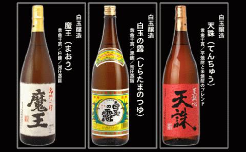 №10004 大隅蔵めぐり　飲み比べ一升瓶10本セット