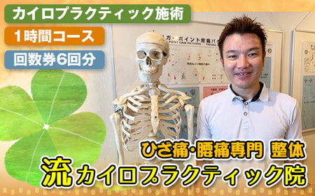 カイロプラクティック施術1時間コース回数券6回分 ／ 関節 身体 筋肉 治療 埼玉県 No.123