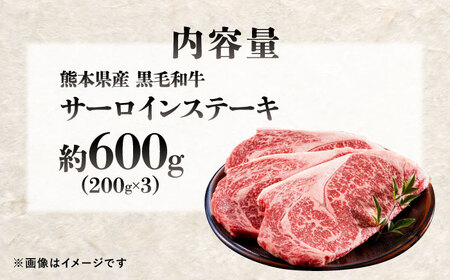 熊本県産 『原田畜産』 黒毛和牛 サーロイン ステーキ 計約600g（約200g×3枚）[AYCN050]