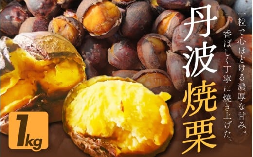 京都府綾部産 丹波焼き栗 1kg 200g×5 小分け真空パック 有機栽培 Lサイズ以上使用 冷凍便 自然な甘みと香ばしさ 焼き栗 栗 丹波栗 国産 栽培期間中農薬不使用