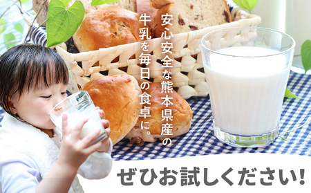 牛乳 常温保存可能 成分無調整 生乳100％使用 大阿蘇牛乳 紙パック 1000ml×6本 合同会社たべたせいか《30日以内に出荷予定(土日祝除く)》熊本県 菊池市 牛乳 乳飲料 乳性飲料 ドリンク 