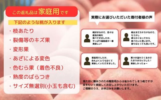 No.2351もも「あかつき」ご家庭用　約2.7kg【2025年発送　先行予約】
