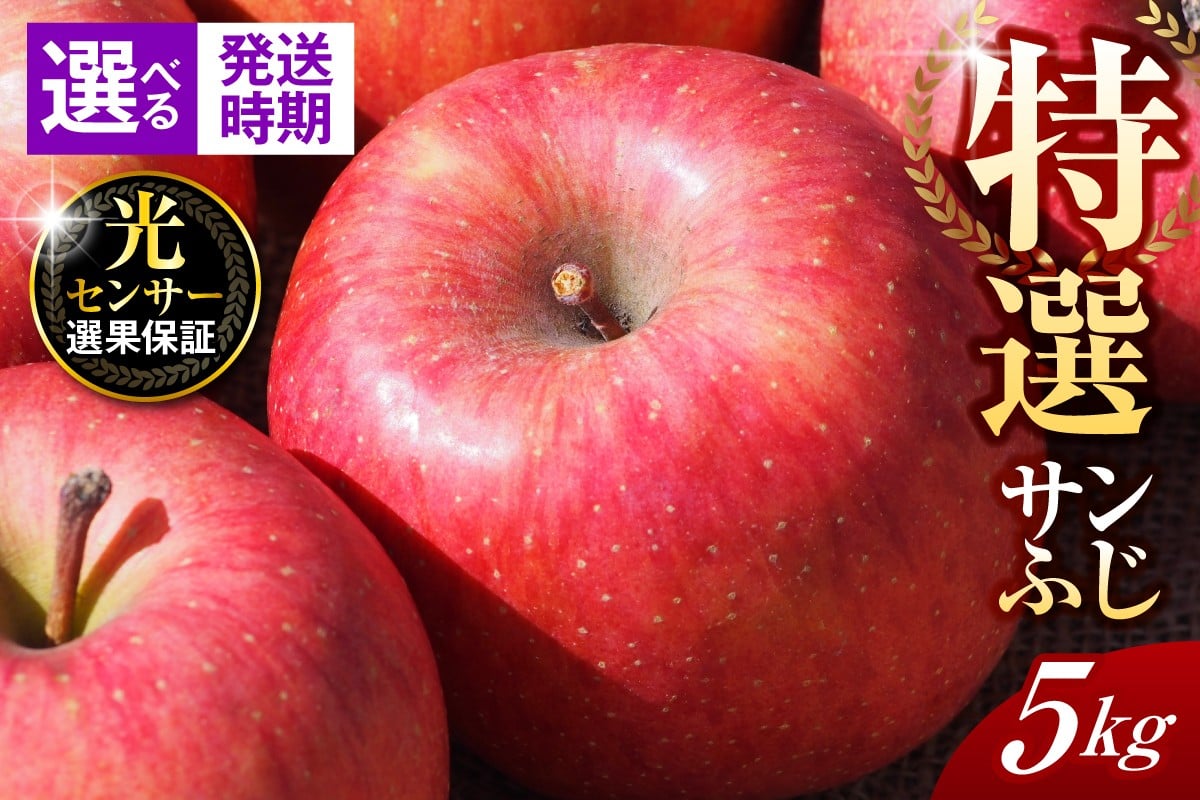 
                  【選べる配送時期】【 特選 】 りんご 約 5kg サンふじ 【 贈答用 】 5キロ 青森県 五所川原市
                