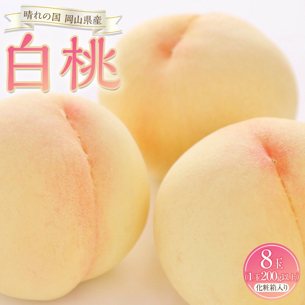 【ふるさと納税】桃 2026年 白桃 8玉（1玉200g以上）化粧箱入りもも モモ 岡山県産 国産 フルーツ 果物 ギフト | もも フルーツ 果物 くだもの 食品 人気 おすすめ 送料無料