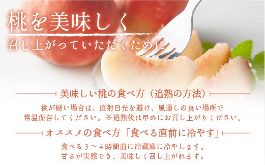 【 2026年 先行予約 】 桃 5kg 秀品 訳あり 《 品種おまかせ「 
