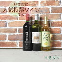 【ふるさと納税】人気投票　山梨県産　甲斐市産　ワイン　飲み比べ　3本セットC　赤ワイン　白ワイン　梅ワイン 日本ワイン　登美の丘ワイナリー　家飲み　お祝い（AD-93）　 お酒 アルコール ワインセット 晩酌 宅飲み ワイン赤白セット