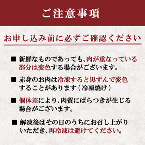 豚ミンチ 約4.0kg ミンチ
