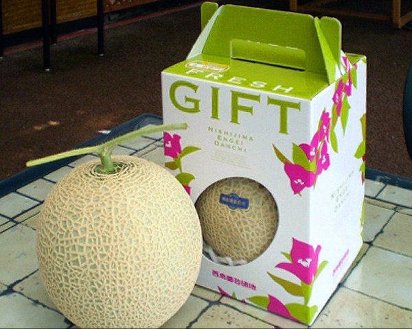 
            【C06036】高知県産　マスクメロン　1玉(約1.5kg)［期間限定品］
          