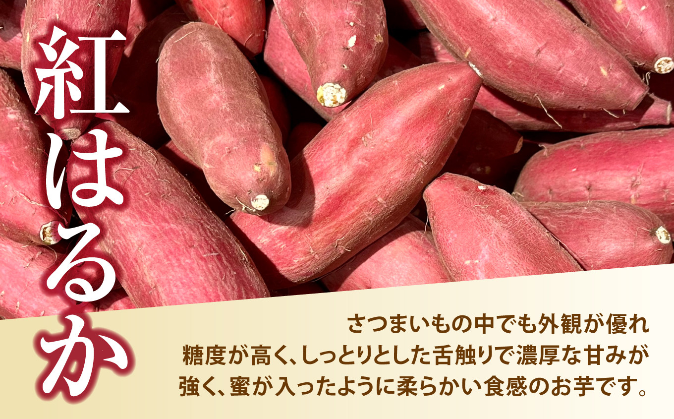 訳あり 無農薬 さつまいも 紅はるか  10kg 福島県 大玉村産 規格外 不揃い サイズ混合【14019】