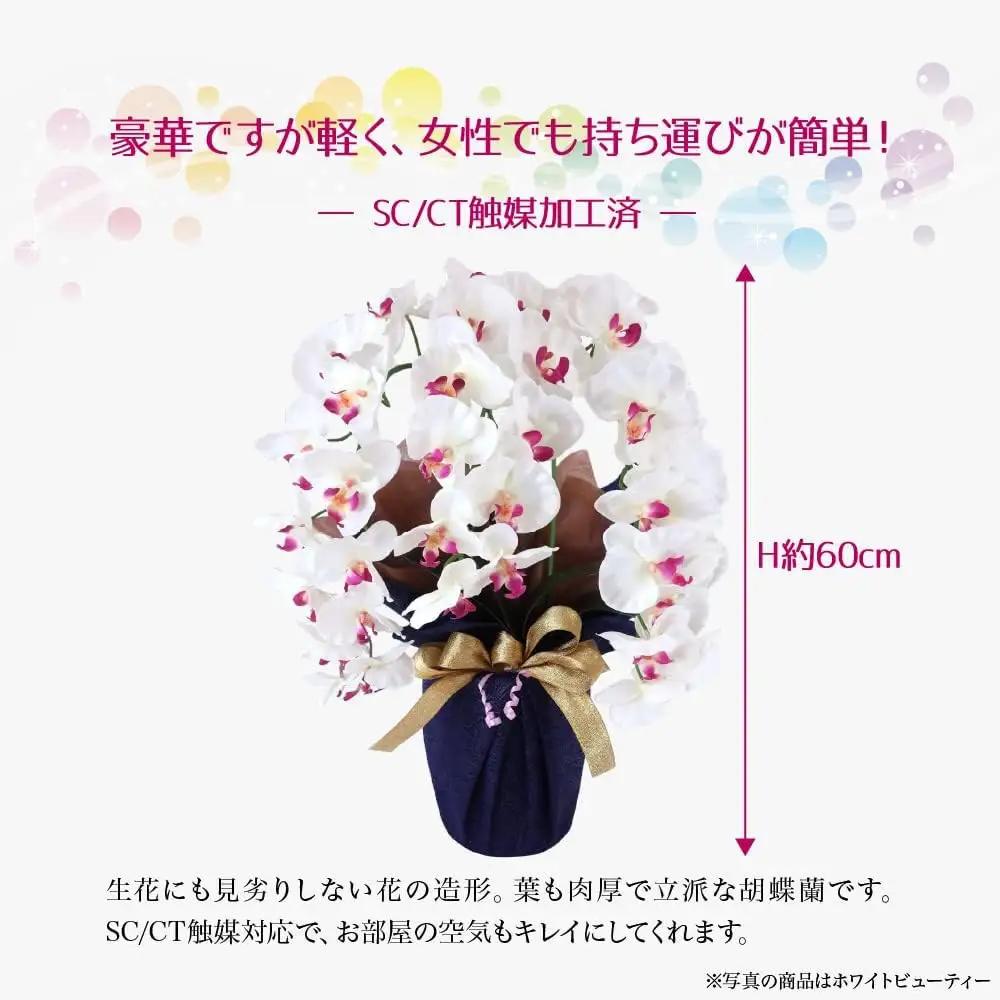 枯れないアーティフィシャルフラワー 胡蝶蘭 3本立ち ホワイトビューティSC触媒加工済