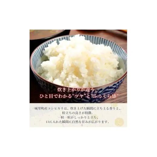 コシヒカリ 10kg（茨城県共通返礼品・城里町産） / 米 こめ コメ お米 おこめ コシヒカリ こしひかり 白米 精米 ごはん ご飯 令和7年産 10kg 茨城県 城里町 利根町