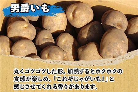 【10月より順次発送予定】北海道 じゃがいも 男爵 10kg 北海道産 十勝産 男爵芋 男爵イモ 男爵薯 ジャガイモ 芋 いも ポテト お取り寄せ まとめ買い 送料無料 十勝 士幌町【V03】