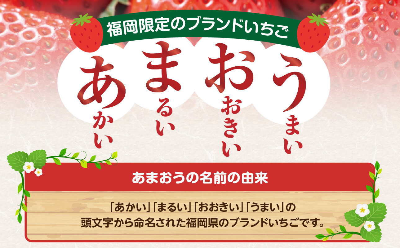 【先行受付：2027年2月発送開始】博多あまおうＧ270g×2パック｜JAふくおか八女 あまおう いちご 苺 イチゴ フルーツ 果物 くだもの 人気 旬 福岡県産 大粒 アフター補償 数量限定 期間限