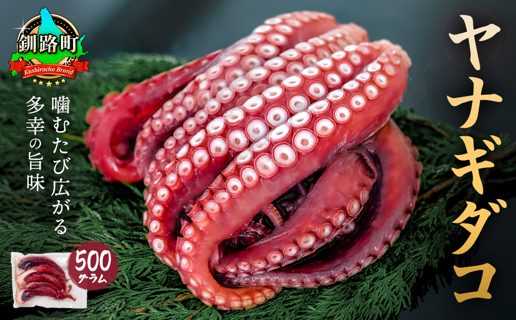 ヤナギダコ 500g【産地直送】【1月7日以降順次発送】 プリプリ食感！釧路町昆布森産 ヤナギタコ 柳ダコ 柳タコ 噛むたびに広がる多幸の旨味 お刺身 鍋 煮物に最適 贈答品 にも最適 蛸 タコ たこ 足 刺身 たこやき たこ唐揚げ 冷凍 魚介類 海鮮 絶品 人気 カネショウ クラシル レシピ すぐ発送 2026年 年始発送 北海道 釧路町 釧路超 特産品