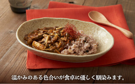 【美濃焼】オーバルカレー皿 4枚セット 黄伊羅保【丸利玉樹利喜蔵商店】 食器 皿 深皿 楕円皿 プレート オーバル オーバルプレート カレー皿 パスタ皿 セット 食器セット レンジ対応 レンジ可 食洗