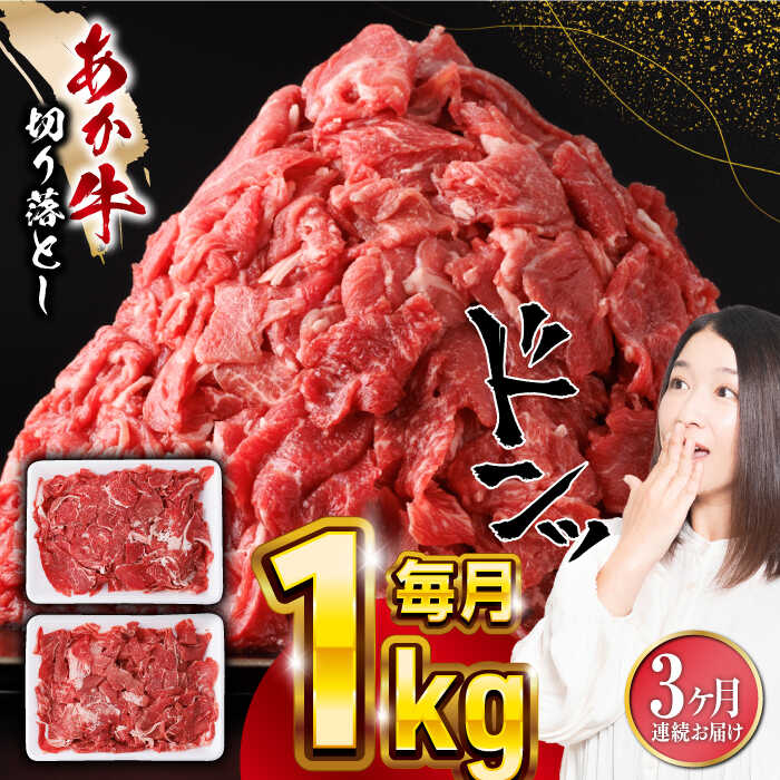 【ふるさと納税】【全3回定期便】熊本県産 あか牛 切り落とし 合計3kg (500g×2P) 熊本 赤牛 褐牛 あかうし 褐毛和種 肥後 冷凍 国産 牛肉 和牛 切り落とし こま切れ 小分け 【五右衛門フーズ】[YBZ021]