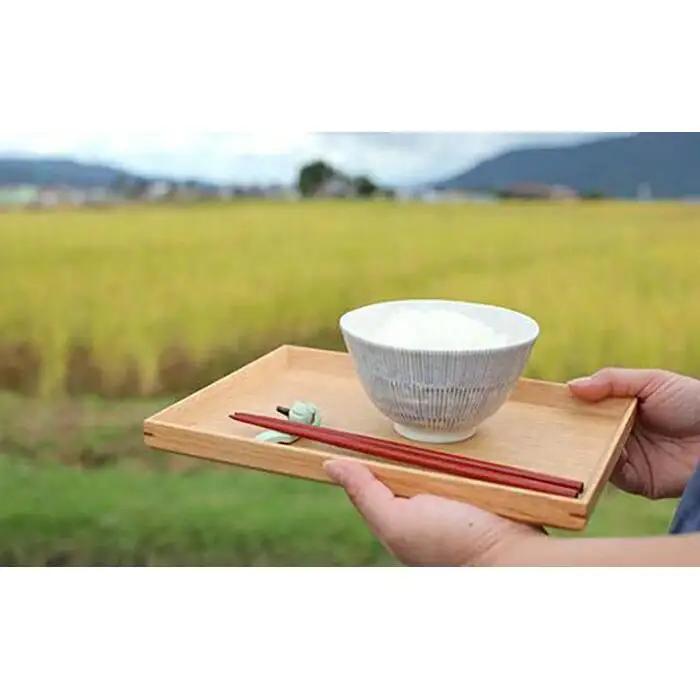 【令和7年】南魚沼産塩沢コシヒカリ【従来品種】（特別栽培米８割減農薬）精米５ｋｇ｜コシヒカリ