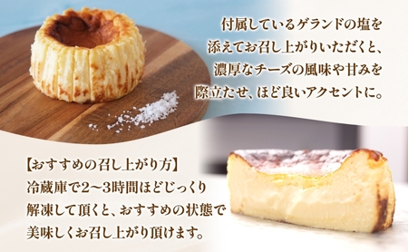 無地熨斗 GOZOのバスクチーズケーキ 9cm 2個 バスクチーズケーキ バスチ チーズケーキ ケーキ チーズ 濃厚 なめらか しっとり 食べごたえ 冷凍配送 洋菓子 デザート スイーツ お取り寄せ 