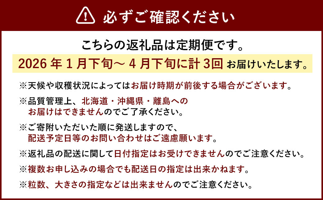 【3回定期便】あまおう 3パック