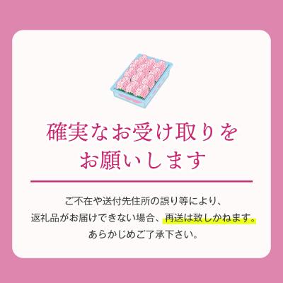 ふるさと納税 淡路市 淡路島アイランドベリー　紅白いちご【2026年3月発送予約受付・お届け日指定不可】　as14830 |  | 03