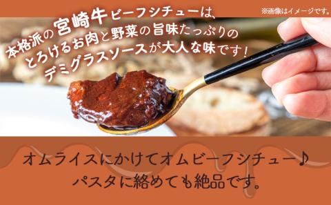 【年内お届け】宮崎牛ビーフシチュー&骨付き照り焼きチキンセット≪2025年12月15日～31日お届け≫_AA-H302-HNY