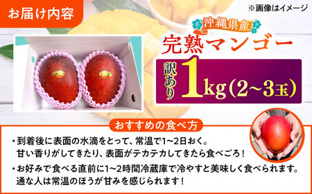 【優良賞受賞】沖縄県産 完熟マンゴー 優品 1kg (2〜3玉) マンゴー 沖縄 果物 フルーツ ギフト 沖縄市 / MAIFARM[BCAN003]