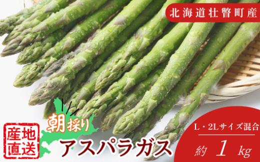 
                  【先行予約】朝採れ直送　グリーンアスパラ約1kg（L・2L混合）北海道壮瞥町産 【 アスパラガス アスパラ 野菜 春 新鮮 旬 とれたて 甘い 産地直送 クール便 人気 おすすめ ランキング 送料無料 】  SBTM008
                