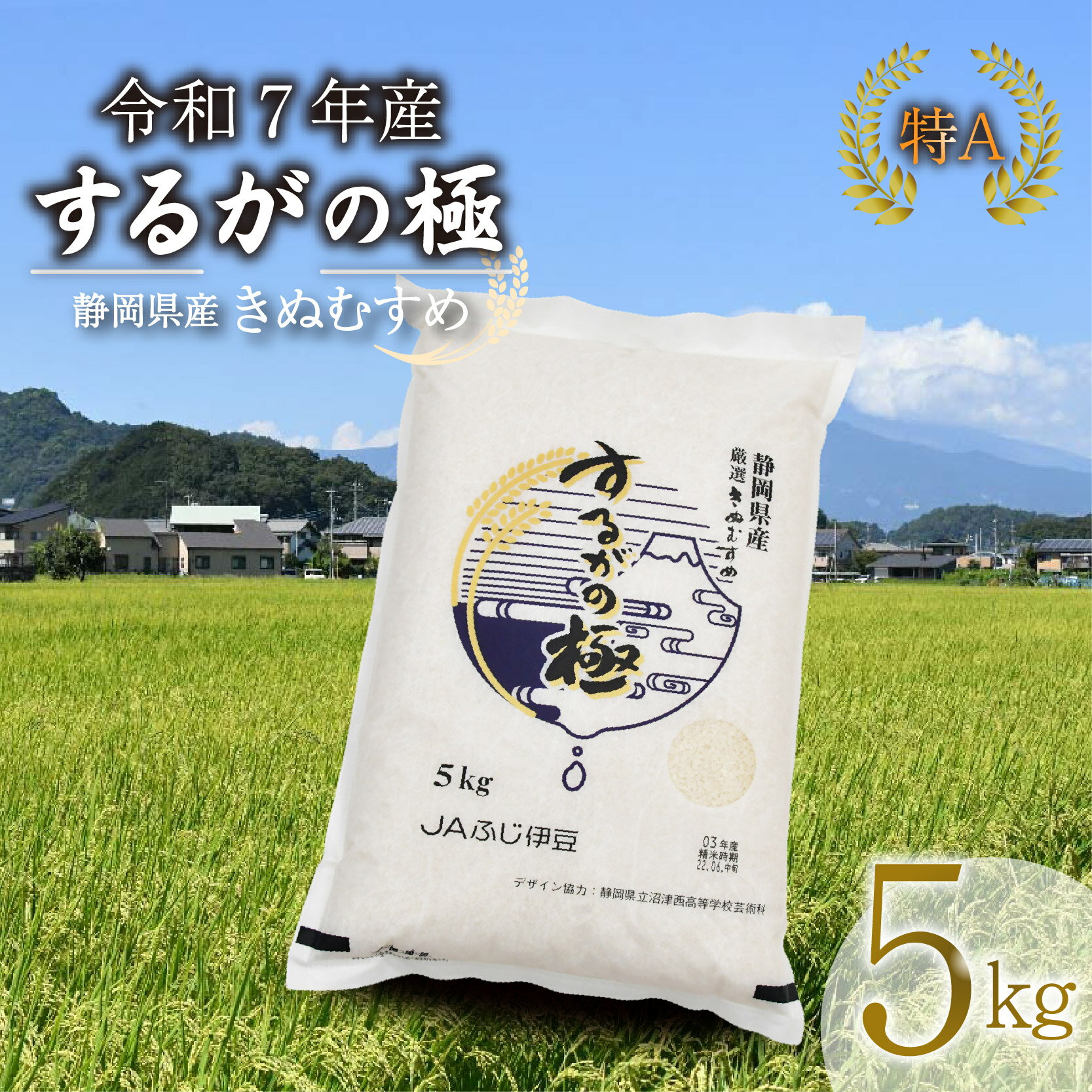 【ふるさと納税】 【令和7年産米】 するがの極 5kg 特A 米 こめ お米 白米 精米 JA ブランド米 きぬむすめ 長泉町 静岡 静岡県産