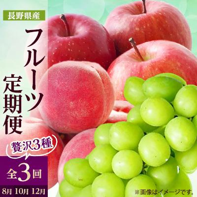 ふるさと納税 中野市 【発送月固定定期便】2026年発送 長野の果物 桃+シャインマスカット+サンふじ全3回