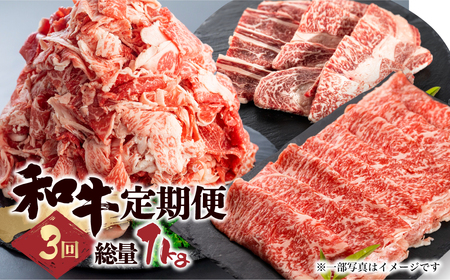 定期便 和牛定期便 全3回 ロース 切落し 
