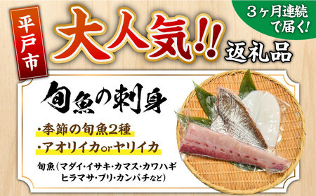 【全3回定期便】 獲れたて 旬魚 の柵 3種 セット（ 刺身 2種＆ イカ 1種）（4～5人前）【平戸市/舘浦漁業協同組合】[KAA518]