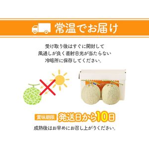 【2026年7月中旬～発送】北海道 富良野 メロン Lサイズ 1.3kg以上×2玉 (スイートベジタブルファクトリー) メロン フルーツ 果物 新鮮 甘い 贈り物 ギフト 道産 ジューシー おやつ ふ