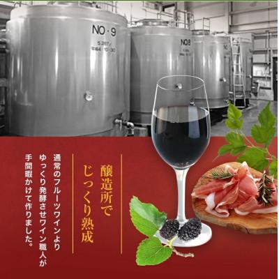 ふるさと納税 合志市 【毎月定期便】桑の実ワイン甘口・辛口2本セット(各500ml)全3回 |  | 01