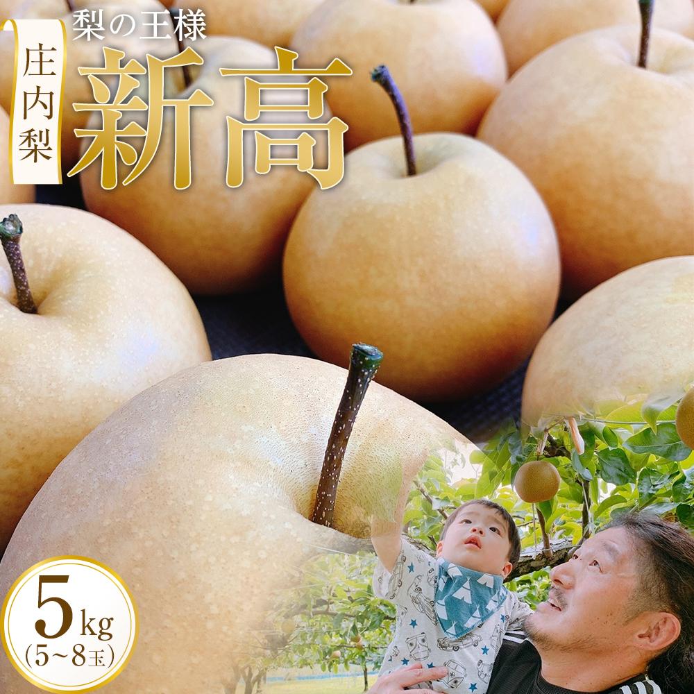 【ふるさと納税】＜梨の王様＞庄内梨 新高 5kg（5～8玉）【2025年10月上旬頃より発送】 | 果物 期間限定 なし 梨 フルーツ グルメ 人気 おすすめ 送料無料 お取り寄せ 取り寄せ 九州 大分県 由布市 湯布院 由布院 ゆふいん