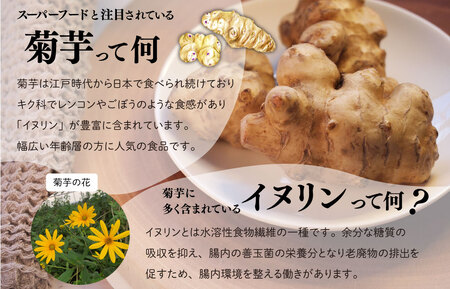 菊芋 チップス 2袋セット お試し イヌリン 国産 いも 菊芋茶 きくいも キクイモ SDGs エコ サスティナブル 農薬不使用 食物繊維 野菜 おやつ おつまみ 三重県産