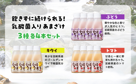 乳酸菌入りあまざけ ちほまろ 150g　12本セット 【キウイ トマト ぶどう】_Tk015-017-c12