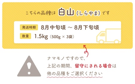 【令和６年産先行予約】だだちゃ豆(白山)　1.5kg（500g×3袋）小池喜左衛門ファーム　枝豆