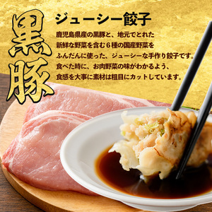 黒豚 餃子 10個入×10パック 地元の中華料理店で人気 紅龍 IB131-003 餃子 餃子 