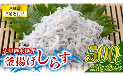 大津港水揚げの釜揚げしらす 500g(250g×2パック) (茨城県共通返礼品:北茨城市) 冷凍  小分け パック 少量 釜揚げ ごはん ご飯 丼 海鮮 魚 名物 グルメ 茨城県 魚介類 ちりめん シラス しらす じゃこ サラダ ふるさと納税 人気 料理（BC008）