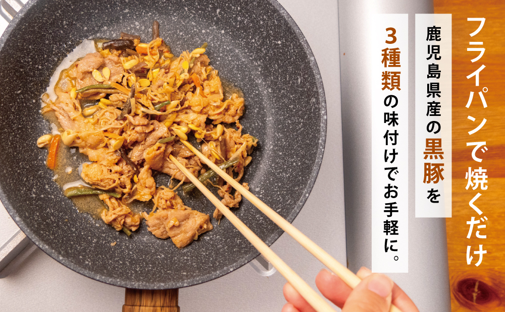 鹿児島県産 味付け 黒豚 セット 3種類 計1kg（ネギ塩、生姜焼き、ビビンバ） 焼肉 総菜 おかず 簡単調理 お弁当 味付き ネギ塩 生姜焼き ビビンバ 小分け 冷凍 国産 ロース  コワダヤ  南