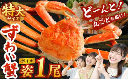 特大 ボイル ズワイ蟹 姿 750g 1尾 海鮮 カニ かに 蟹 ズワイガニ かにみそ カニみそ 冷凍